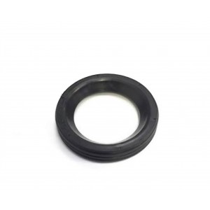 Renault Elektrovana Keçesi